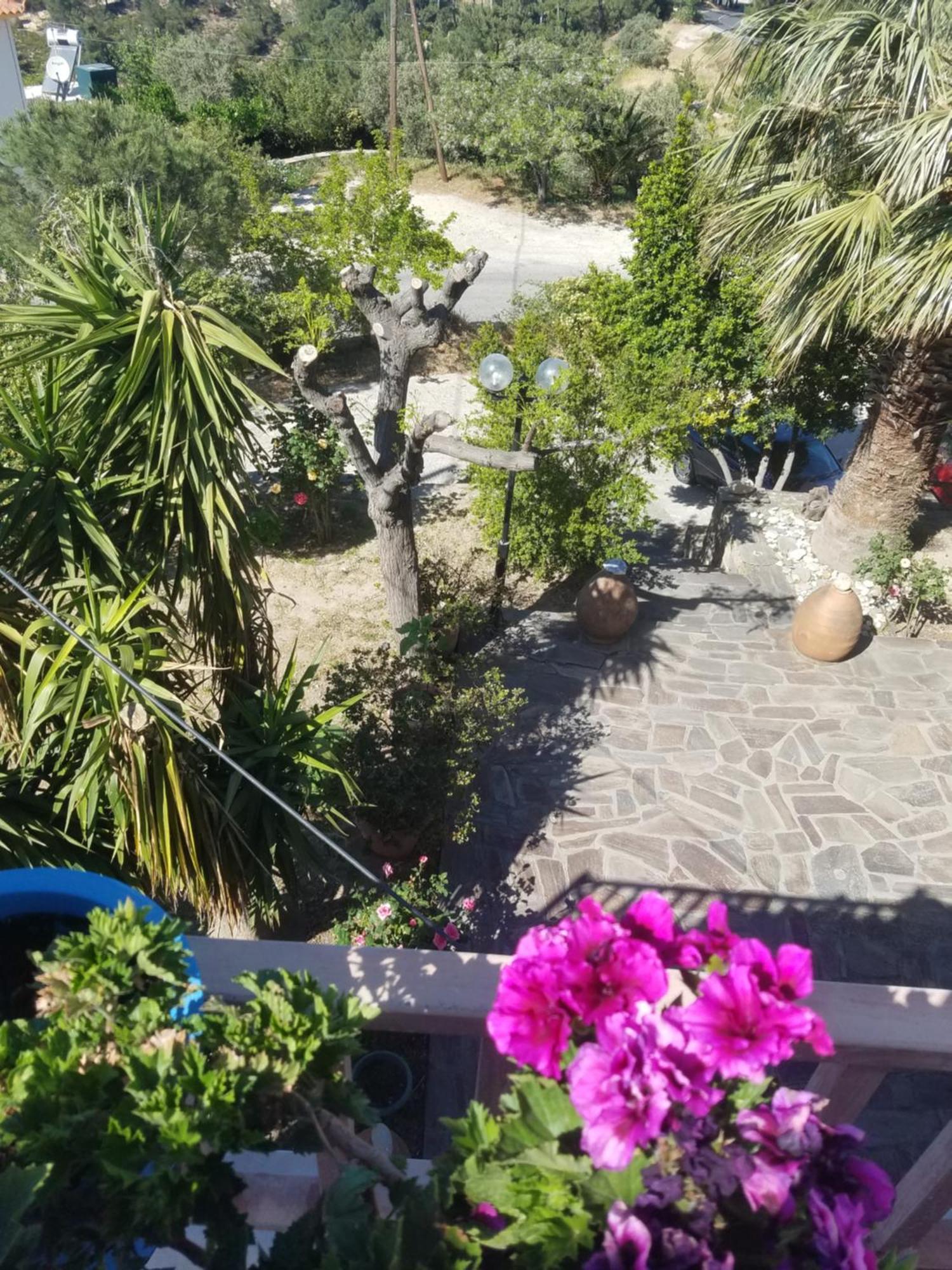 Spitikariotiko Panoramic Home Raches  Rum bild